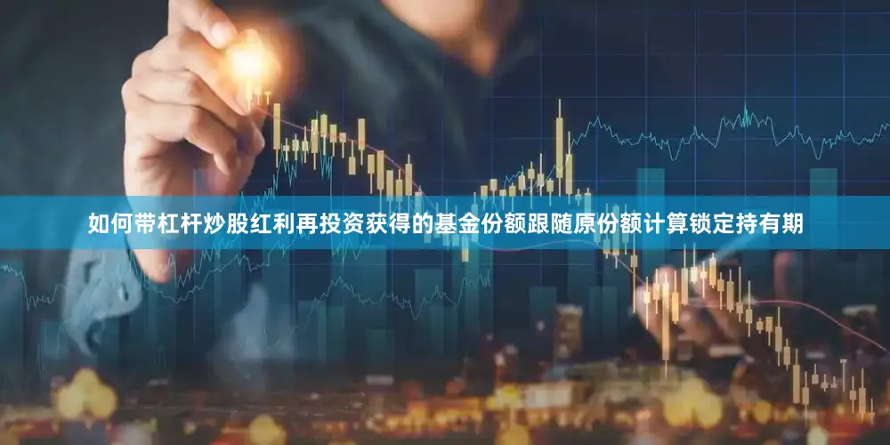 如何带杠杆炒股红利再投资获得的基金份额跟随原份额计算锁定持有期